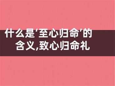 什么是‘至心归命’的含义,致心归命礼