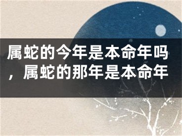 属蛇的今年是本命年吗，属蛇的那年是本命年