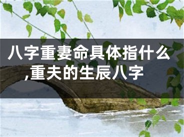 八字重妻命具体指什么,重夫的生辰八字