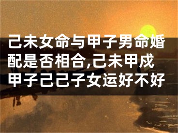 己未女命与甲子男命婚配是否相合,己未甲戍甲子己己子女运好不好