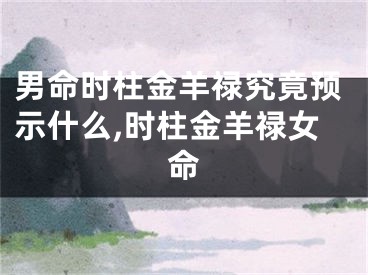 男命时柱金羊禄究竟预示什么,时柱金羊禄女命
