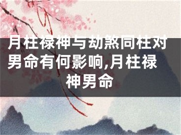 月柱禄神与劫煞同柱对男命有何影响,月柱禄神男命