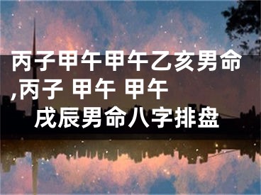 丙子甲午甲午乙亥男命,丙子 甲午 甲午 戌辰男命八字排盘