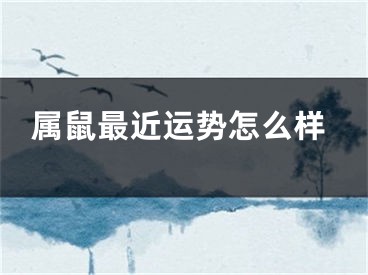 属鼠最近运势怎么样