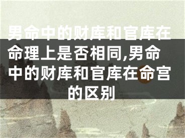 男命中的财库和官库在命理上是否相同,男命中的财库和官库在命宫的区别
