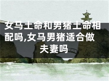 女马土命和男猪土命相配吗,女马男猪适合做夫妻吗