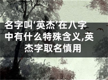 名字叫‘英杰’在八字中有什么特殊含义,英杰字取名慎用