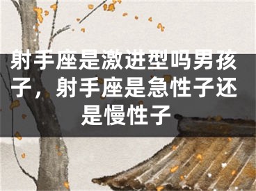 射手座是激进型吗男孩子，射手座是急性子还是慢性子