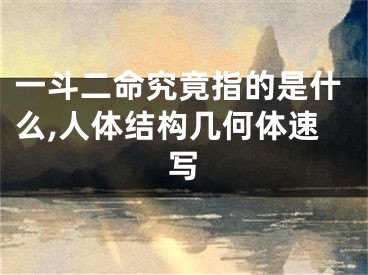 一斗二命究竟指的是什么,人体结构几何体速写