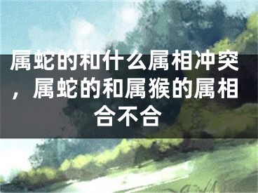 属蛇的和什么属相冲突，属蛇的和属猴的属相合不合
