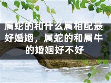 属蛇的和什么属相配最好婚姻，属蛇的和属牛的婚姻好不好
