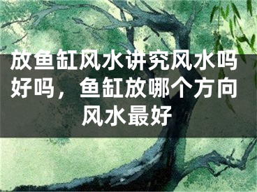 放鱼缸风水讲究风水吗好吗，鱼缸放哪个方向风水最好