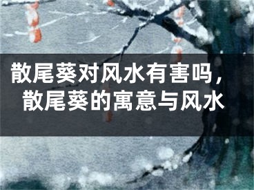 散尾葵对风水有害吗,散尾葵的寓意与风水