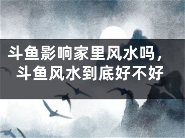 斗鱼影响家里风水吗,斗鱼风水到底好不好