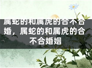 属蛇的和属虎的合不合婚，属蛇的和属虎的合不合婚姻