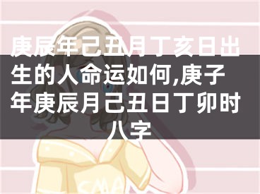 庚辰年己丑月丁亥日出生的人命运如何,庚子年庚辰月己丑日丁卯时八字