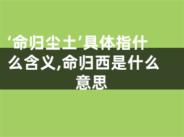 ‘命归尘土’具体指什么含义,命归西是什么意思