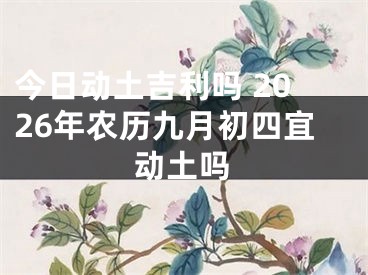 今日动土吉利吗 2026年农历九月初四宜动土吗