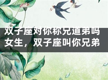 双子座对你称兄道弟吗女生，双子座叫你兄弟