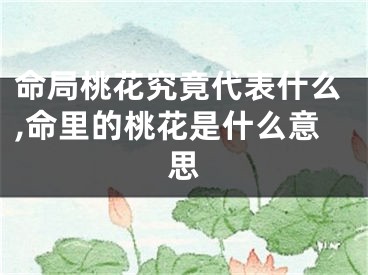 命局桃花究竟代表什么,命里的桃花是什么意思