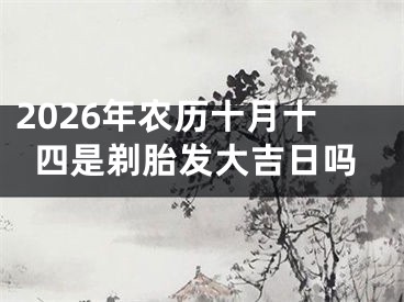 2026年农历十月十四是剃胎发大吉日吗