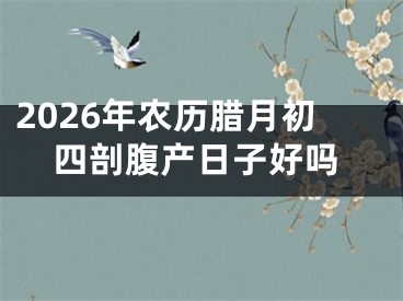 2026年农历腊月初四剖腹产日子好吗