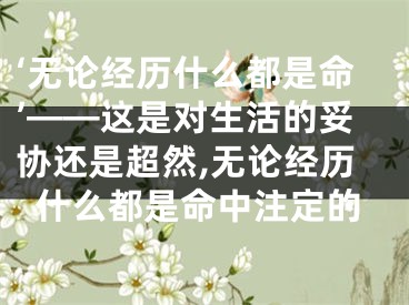 ‘无论经历什么都是命’——这是对生活的妥协还是超然,无论经历什么都是命中注定的