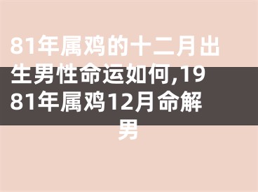 81年属鸡的十二月出生男性命运如何,1981年属鸡12月命解男