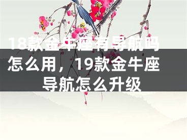 18款金牛座有导航吗怎么用，19款金牛座导航怎么升级