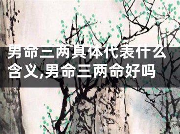 男命三两具体代表什么含义,男命三两命好吗