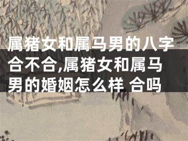 属猪女和属马男的八字合不合,属猪女和属马男的婚姻怎么样 合吗