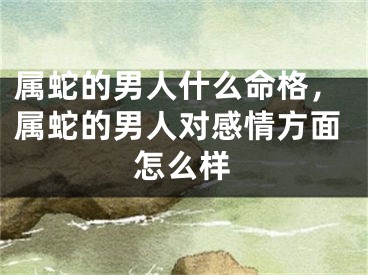 属蛇的男人什么命格，属蛇的男人对感情方面怎么样