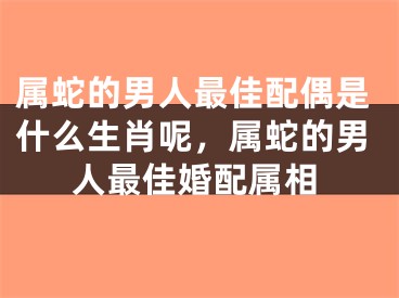 属蛇的男人最佳配偶是什么生肖呢，属蛇的男人最佳婚配属相