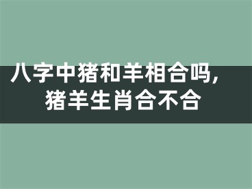 八字中猪和羊相合吗,猪羊生肖合不合