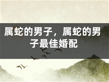 属蛇的男子，属蛇的男子最佳婚配