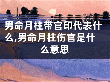 男命月柱带官印代表什么,男命月柱伤官是什么意思
