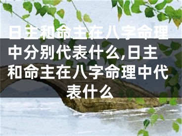 日主和命主在八字命理中分别代表什么,日主和命主在八字命理中代表什么