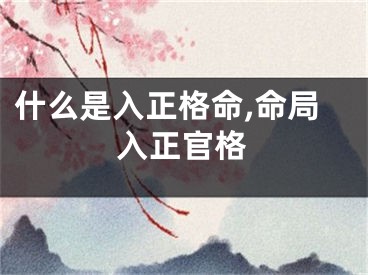 什么是入正格命,命局入正官格