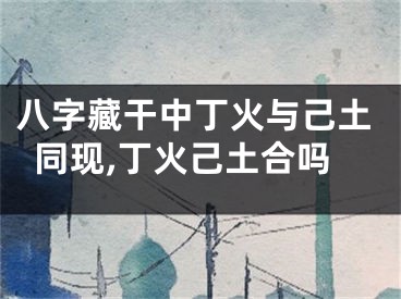 八字藏干中丁火与己土同现,丁火己土合吗