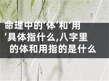 命理中的‘体’和‘用’具体指什么,八字里的体和用指的是什么