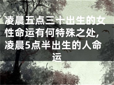 凌晨五点三十出生的女性命运有何特殊之处,凌晨5点半出生的人命运