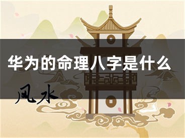 华为的命理八字是什么