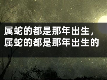 属蛇的都是那年出生，属蛇的都是那年出生的