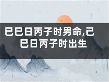 已巳日丙子时男命,己巳日丙子时出生