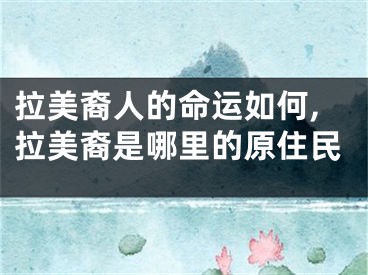 拉美裔人的命运如何,拉美裔是哪里的原住民