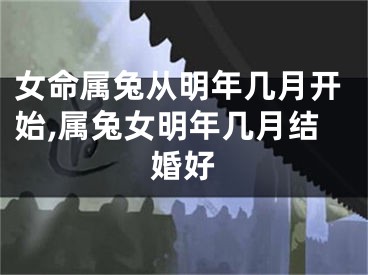 女命属兔从明年几月开始,属兔女明年几月结婚好