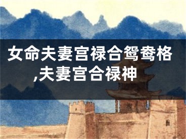 女命夫妻宫禄合鸳鸯格,夫妻宫合禄神