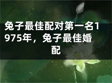 兔子最佳配对第一名1975年，兔子最佳婚配