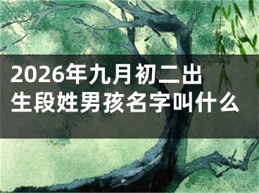 2026年九月初二出生段姓男孩名字叫什么