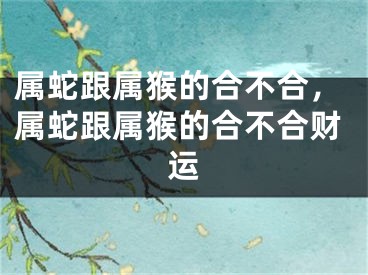 属蛇跟属猴的合不合，属蛇跟属猴的合不合财运